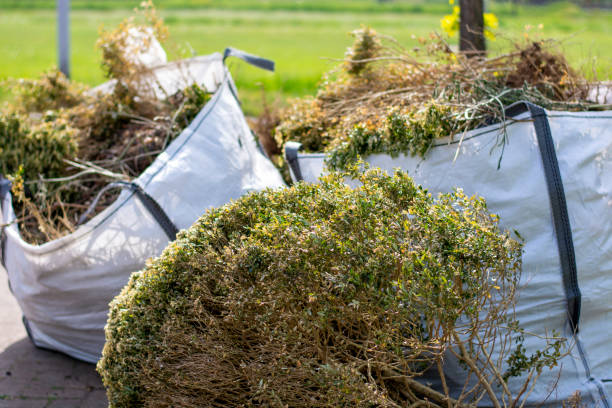 Best Dumpster Rental Services  in Dassel, MN