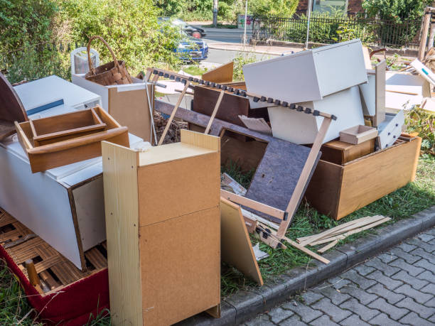 Best Furniture Removal Near Me  in Dassel, MN