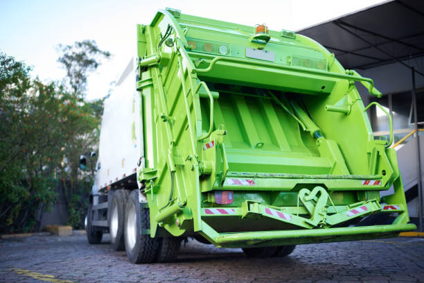 Yard Cleanup Services in Dassel, MN